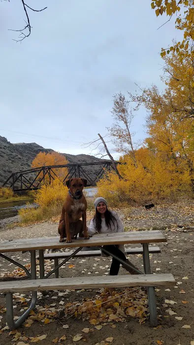 Browne's Bridge Campground Picture 8