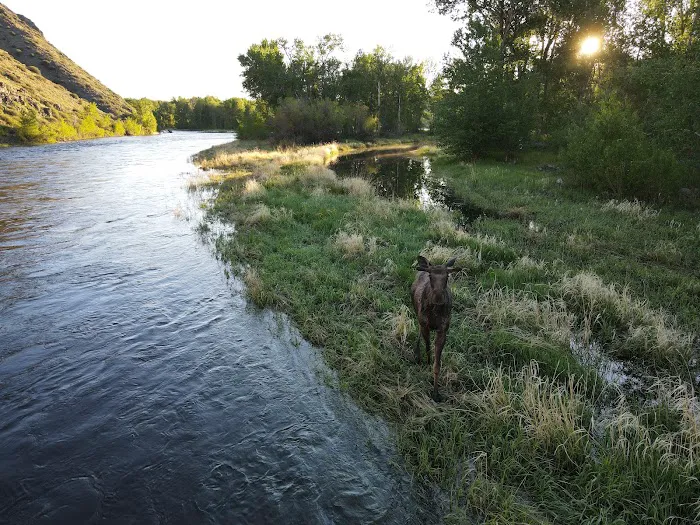FishOn River Front Cabins Vacation Rental Picture 5