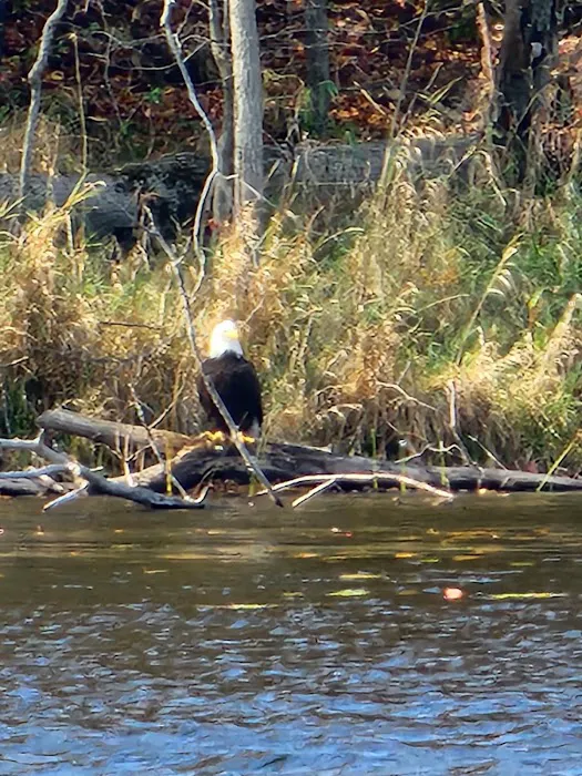 Three Mile Lake Mobile Home Park Picture 4