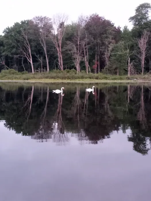 Three Mile Lake Mobile Home Park Picture 7