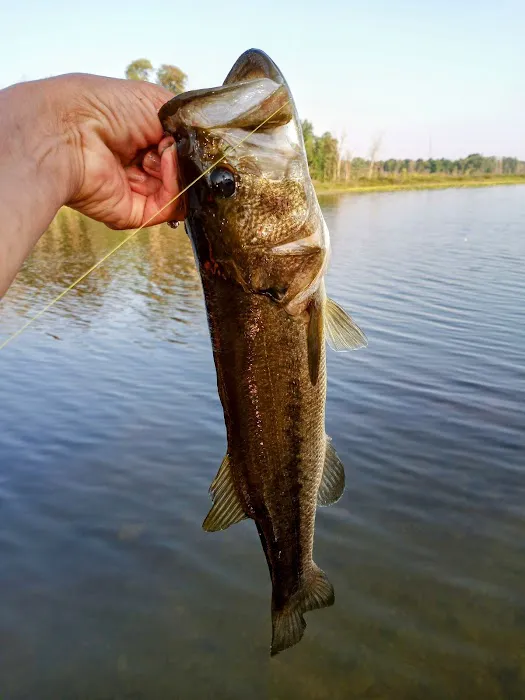 Three Mile Lake Mobile Home Park Picture 3