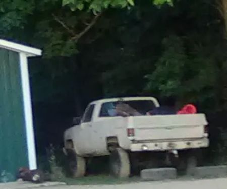 Country Holiday Estates