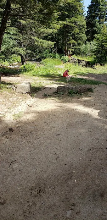 Pigeon Creek Campground Picture 8