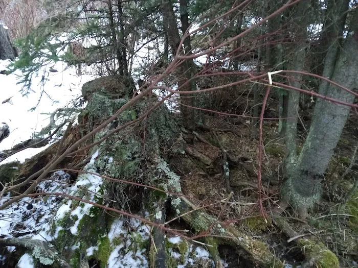 Pigeon Creek Campground Picture 2