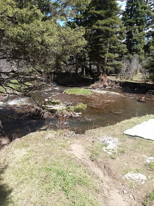 Pigeon Creek Campground Picture 7