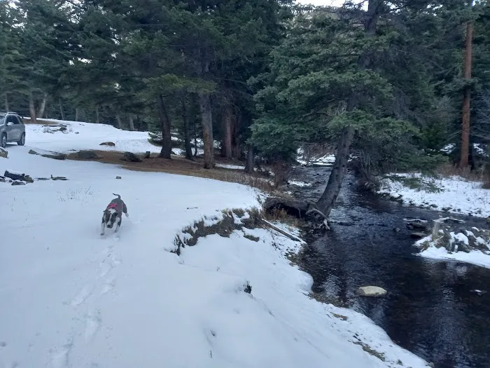Pigeon Creek Campground Picture 3