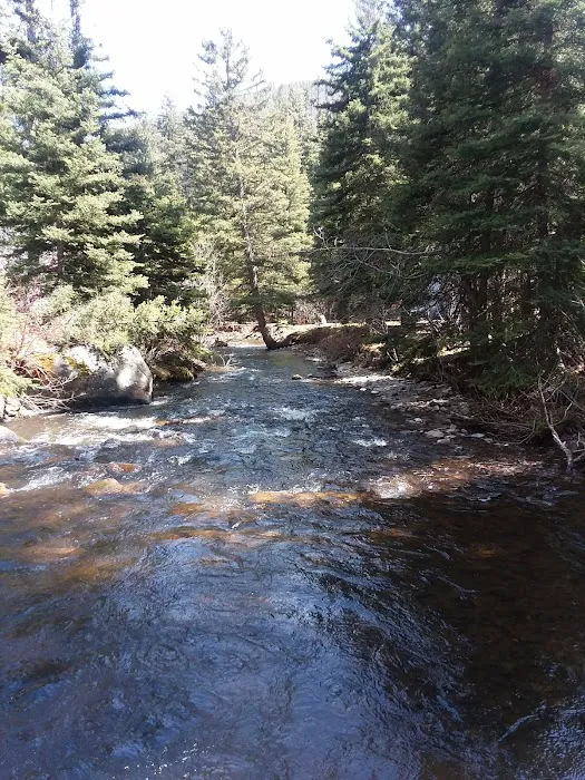 Pigeon Creek Campground Picture 5