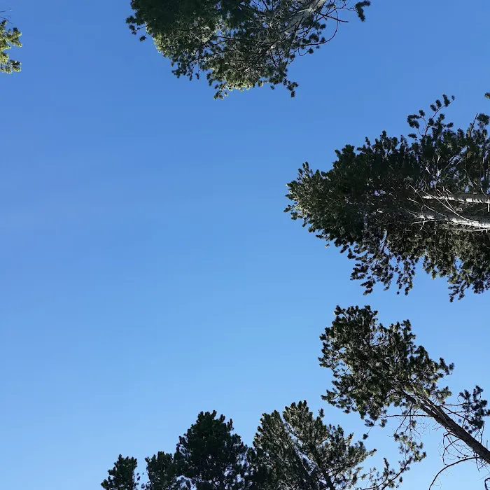 Lowland Campground and Picnic Area Picture 4