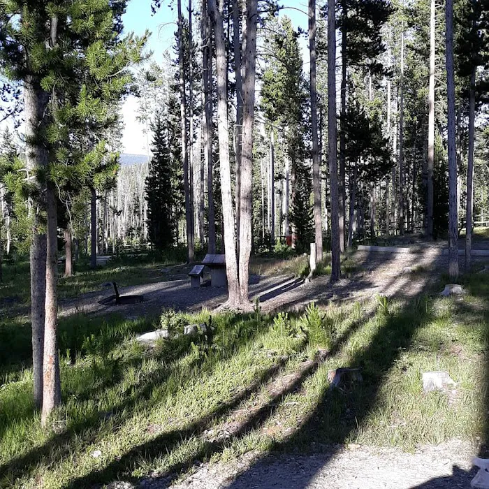 Lowland Campground and Picnic Area Picture 7