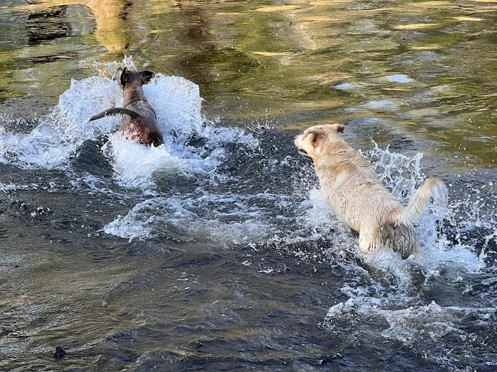 Glen Campground Picture 3