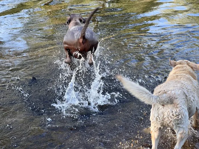 Glen Campground Picture 6