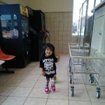 Maple Lane Village Mobile Home