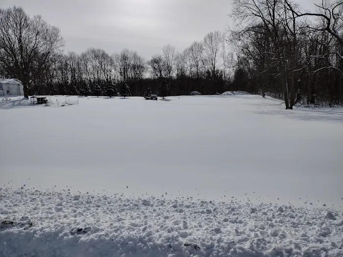 Pleasant Valley Mobile Home Pk Picture 2
