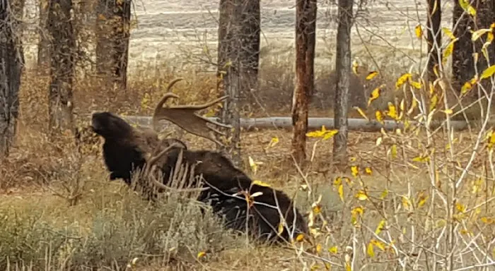 Bike Walk Southwest Montana Bike Camp Picture 7