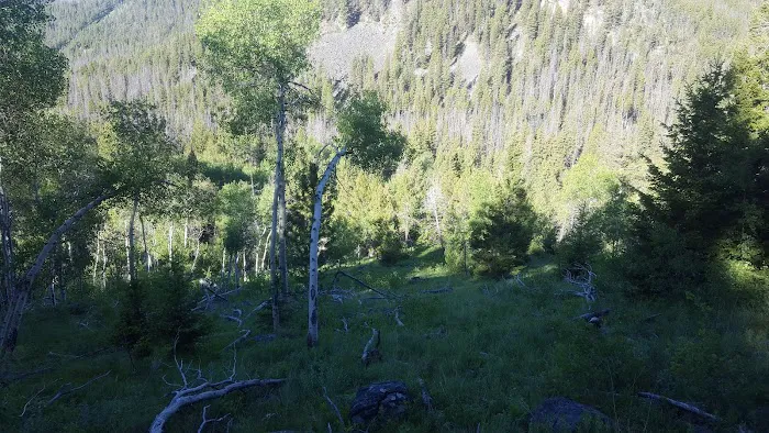 Basin Canyon Campground and Picnic Area Picture 8