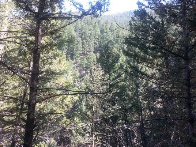 Basin Canyon Campground and Picnic Area Picture 5