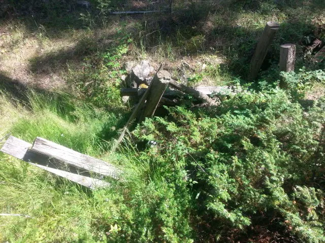 Basin Canyon Campground and Picnic Area Picture 7