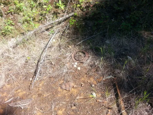 Basin Canyon Campground and Picnic Area Picture 2