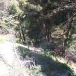 Basin Canyon Campground and Picnic Area