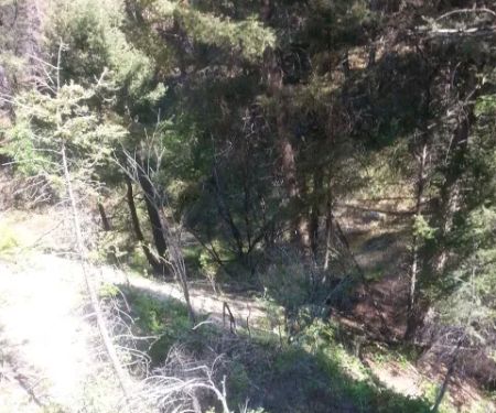 Basin Canyon Campground and Picnic Area