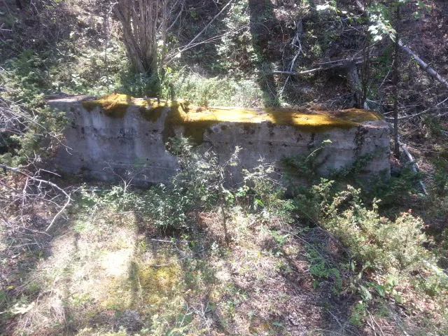 Basin Canyon Campground and Picnic Area Picture 4