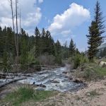 Moose Creek Campground