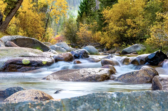 Moose Creek Campground Picture 9