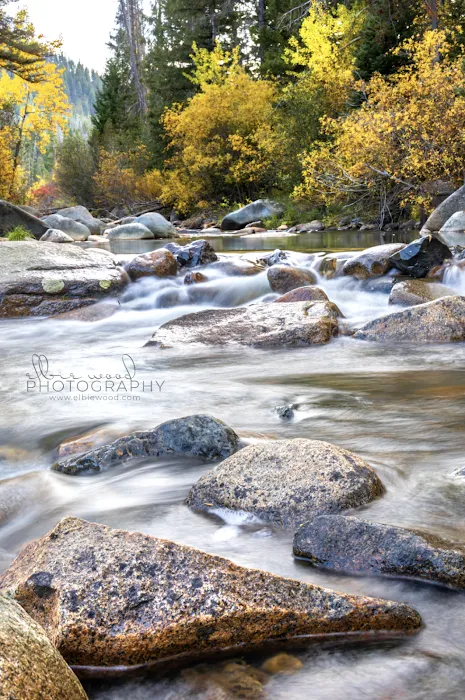 Moose Creek Campground Picture 10