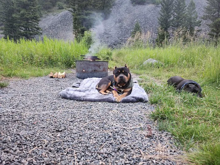 Moose Creek Campground Picture 6