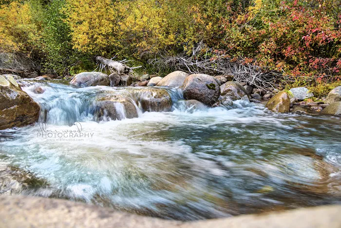 Moose Creek Campground Picture 8