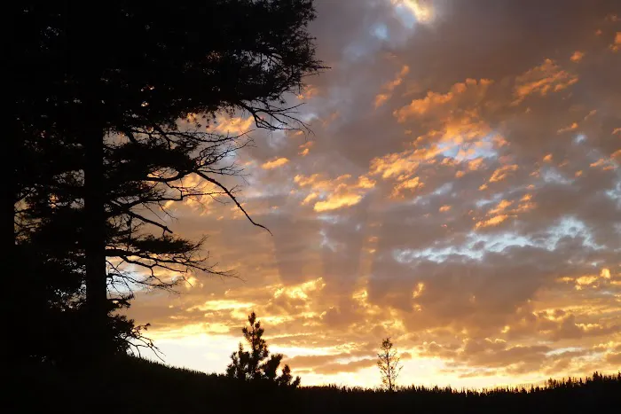 Park Lake Campground Picture 11