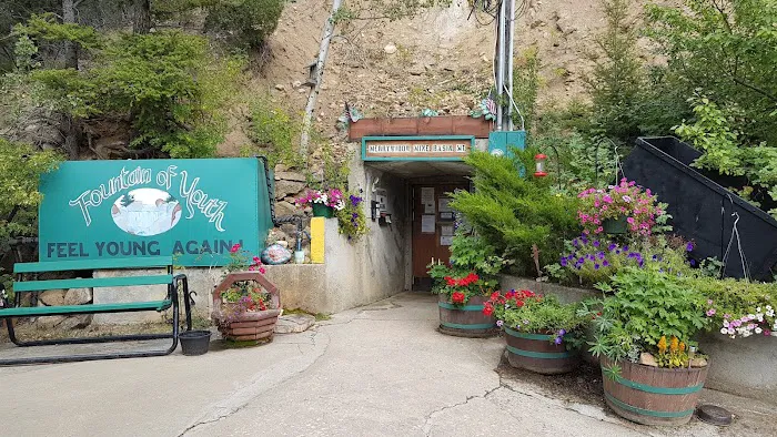 Merry Widow Health Mine Picture 6