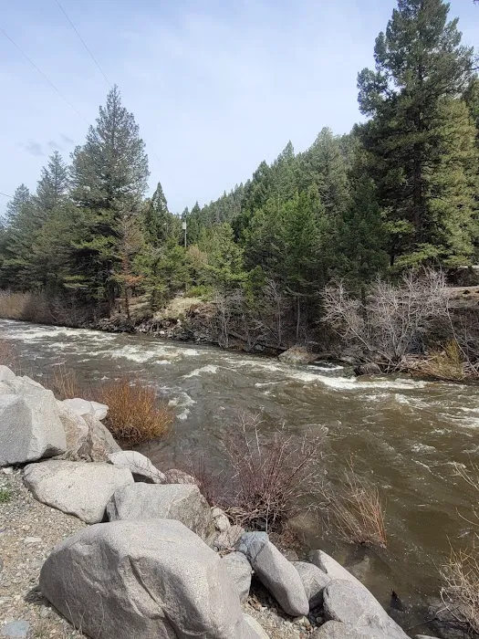 Merry Widow Health Mine Picture 4