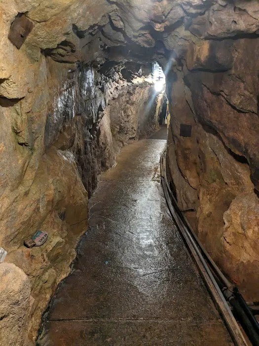 Merry Widow Health Mine Picture 2