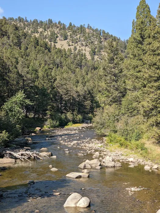 Galena Gulch Campground Picture 8