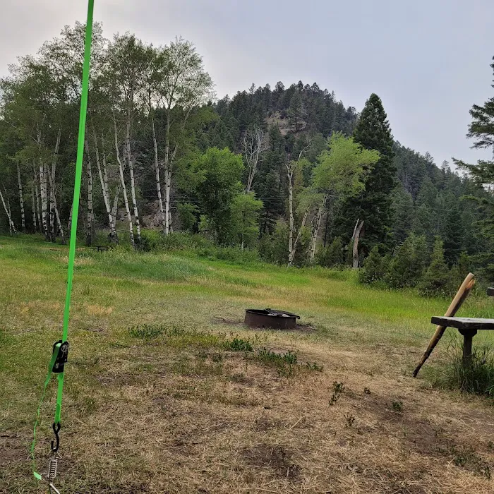 Galena Gulch Campground Picture 4