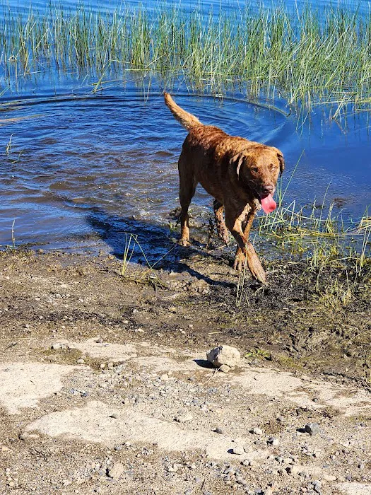 Delmoe Campground Picture 2