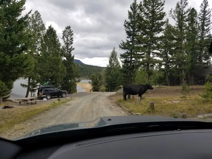 Delmoe Campground Picture 4