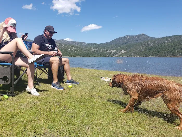 Delmoe Campground Picture 8