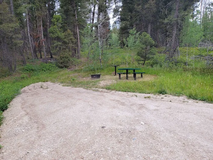 Cougar Point Campground Picture 5