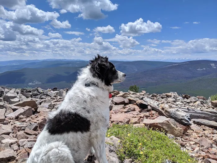 Bloody Dick Cabin Picture 1