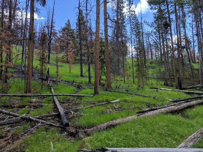 Bloody Dick Cabin Picture 4