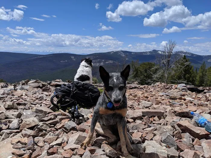 Bloody Dick Cabin Picture 5