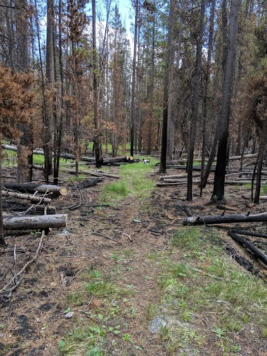 Bloody Dick Cabin Picture 7