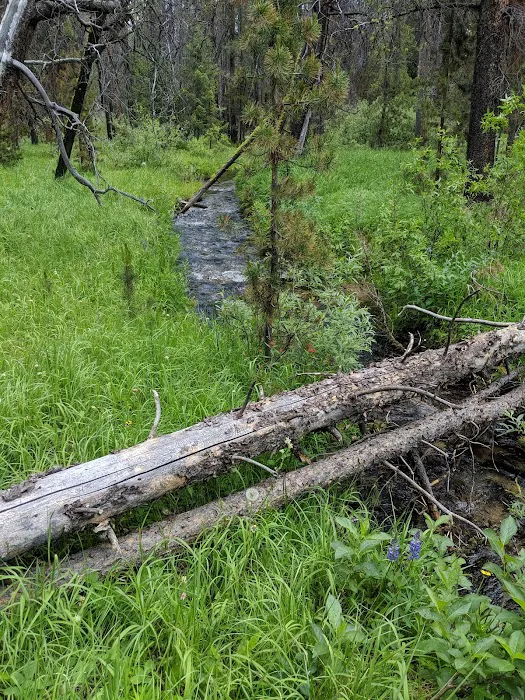 Bloody Dick Cabin Picture 2