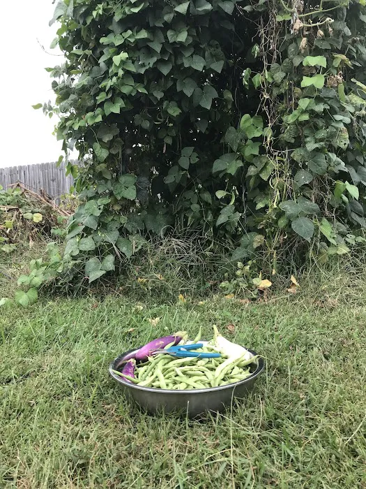 Mobile Village Picture 2