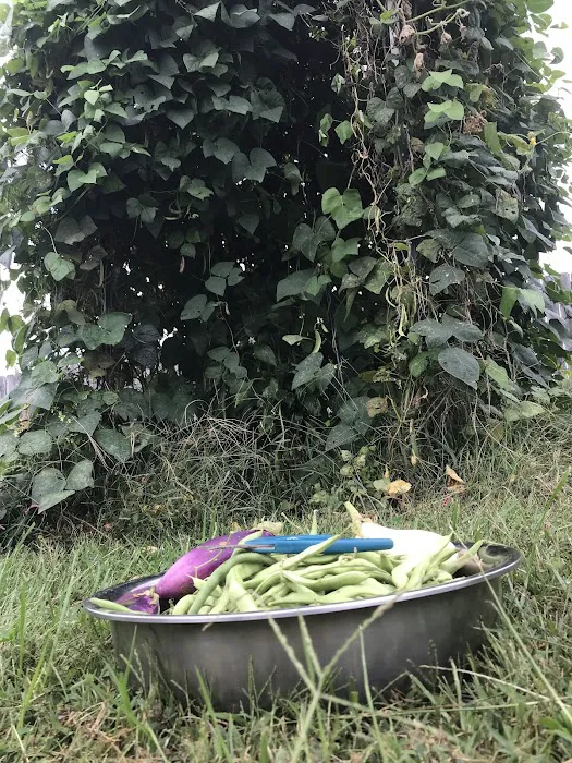 Mobile Village Picture 1