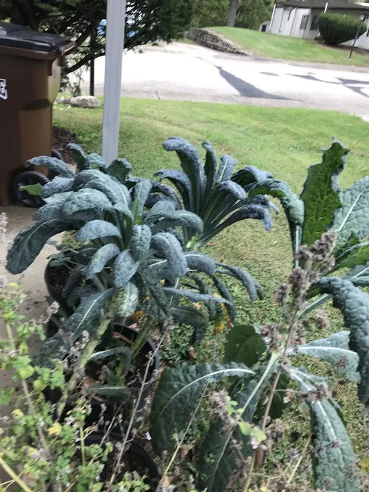 Mobile Village Picture 3