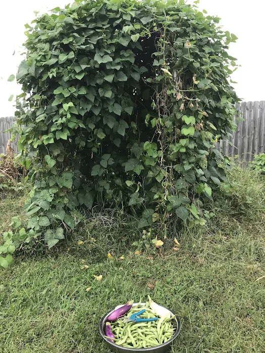 Mobile Village Picture 4