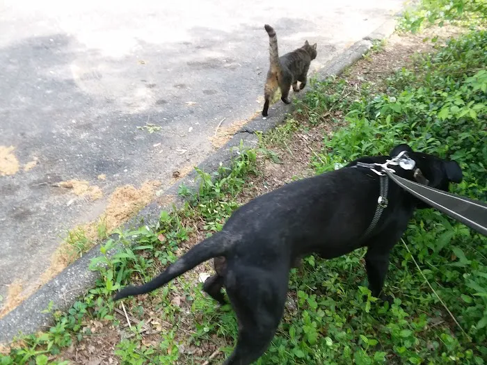 Beechwood Community Picture 5